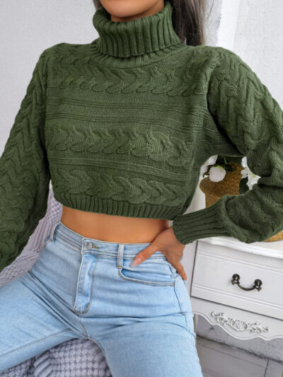 Women's casual fried dough twist long sleeve high neck navel revealing knitted sweater - Image 5