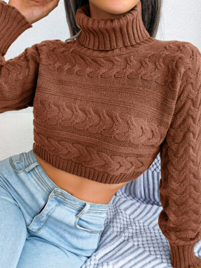 Women's casual fried dough twist long sleeve high neck navel revealing knitted sweater - Image 11