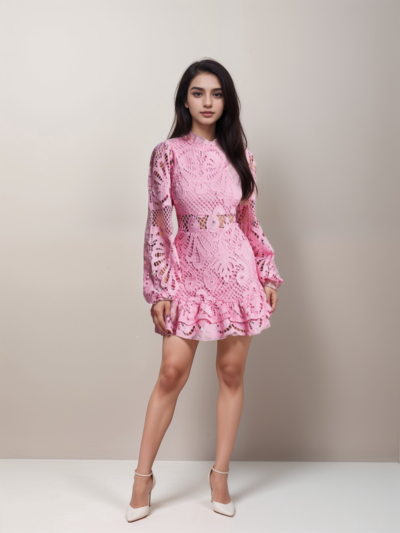 Long Sleeve Hollow Lace Dress