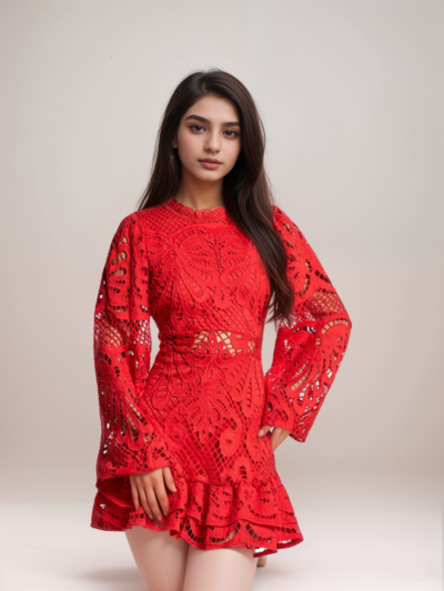 Long Sleeve Hollow Lace Dress