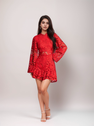 Long Sleeve Hollow Lace Dress