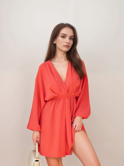 Long Sleeve V-Neck Waisted Swing Dress